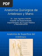 5.7. - Netter MIEMBRO SUPERIOR CAP 7 | PDF | Mano | Morfología (biología)