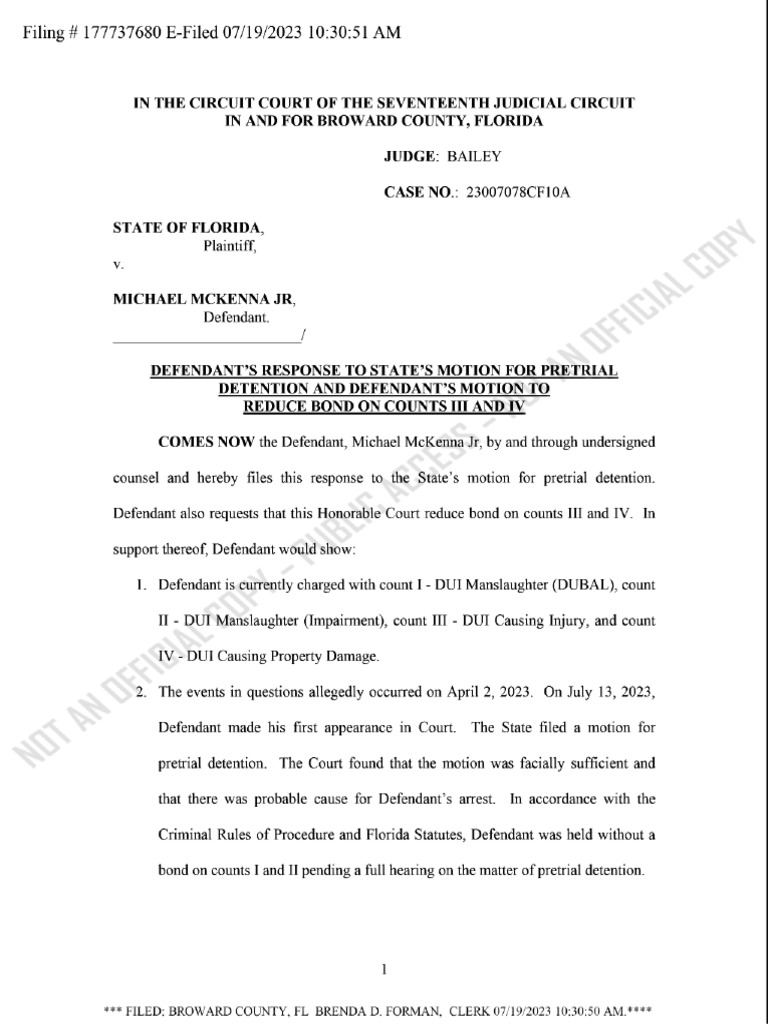 US Army Captain's Fatal DUI Crash Case | PDF