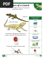 Labeled Diagram of Lizard Parts | PDF | Claw