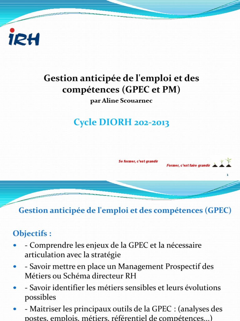 Comprendre la GPEC et ses enjeux | PDF | Gestion des ressources ...