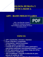 Presentación ADN Bases Moleculares