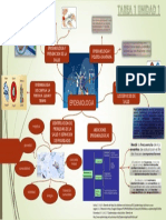 Mapa Mental Unidad 1