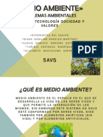 Medio Ambiente CTSYV