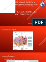 Lesiones Elemenetales Secundarias