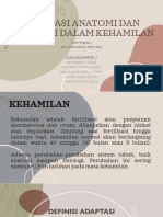 Tugas Makalah Dan Power Point Kelompok 2 ADAPTASI ANATOMI DAN FISIOLOGI DALAM PERSALINAN