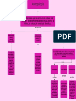 Mapa Conceptual Antropología