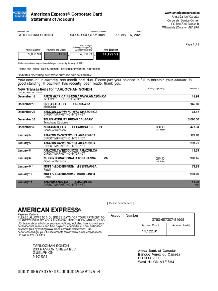 American Express Corporate Statement | PDF