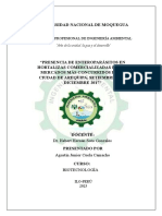 "Presencia de Enteroparásitos en Hortalizas Comercializadas en Los Mercados Más Concurridos de La Ciudad de Arequipa, Setiembre 2017-Diciembre 2017