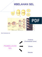 Bab4PEMBELAHANSEL Klsxii