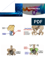 Trabajo de Parto