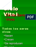 Ciclo Vital