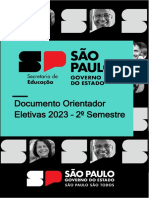 Eletivas 2semestre Doc Orientador