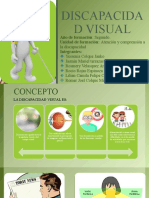 Concepto de Discapacidad Visual