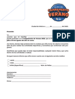 Carta Responsiva 23