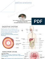 Digestive System Notes