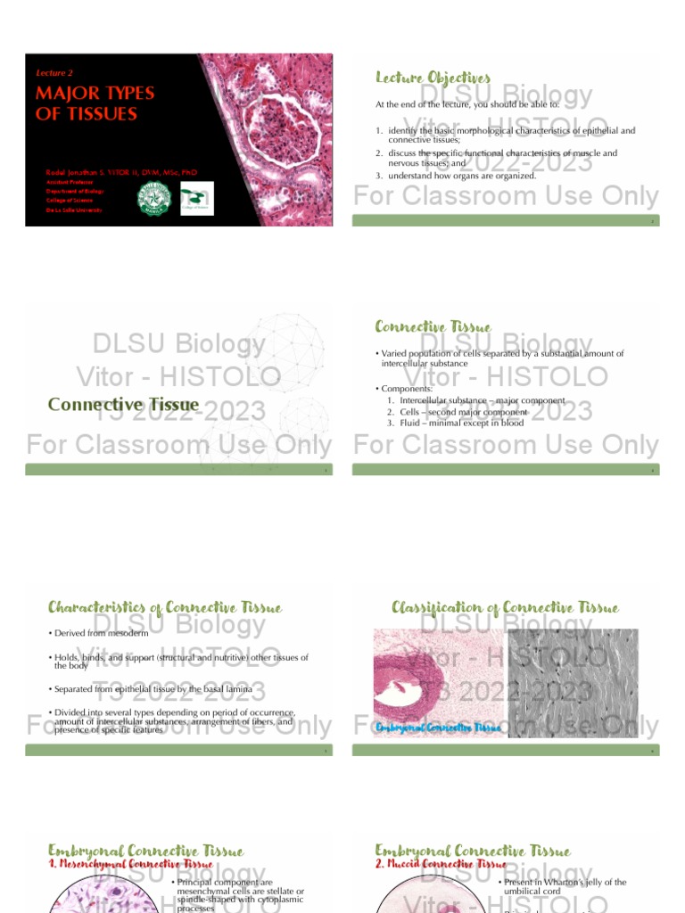 HISTOLO Lecture 2b - Major Types of Tissues | PDF