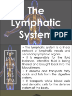 8 - Lymphatic System