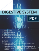 6 - Digestive System