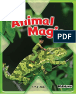 Animal Magic