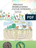 Peranan Mikroorganisma Dalam Kitar Nitrogen2
