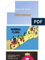 7 Normal Flora
