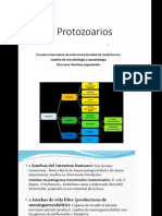 Amebas - Micro y Parásito 2020