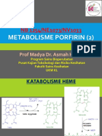 Metabolisme Porfirin 2 (2019)