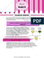 Ley de Mendel II Resumen