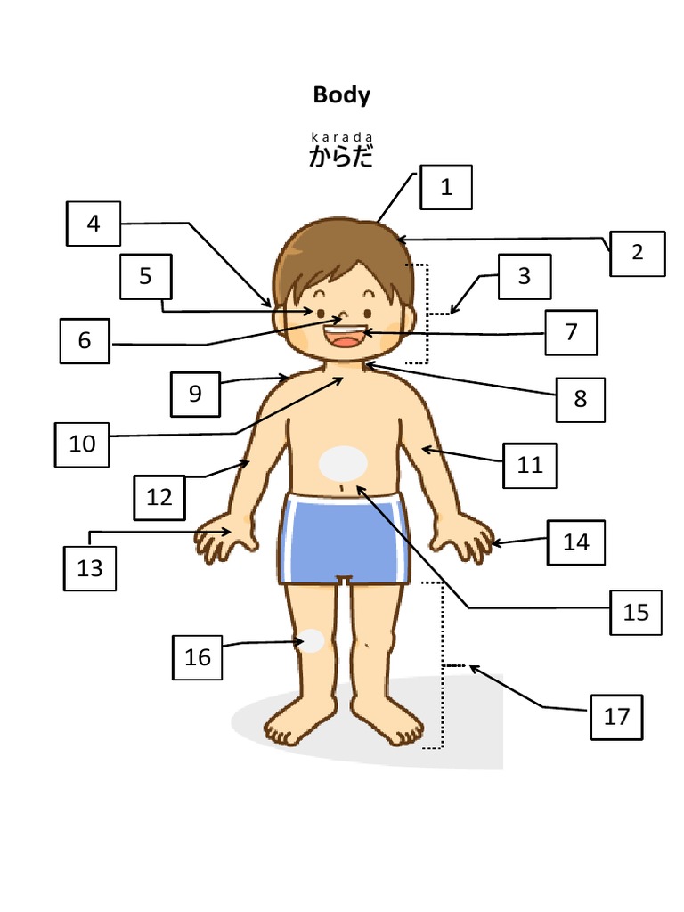 からだ body | PDF