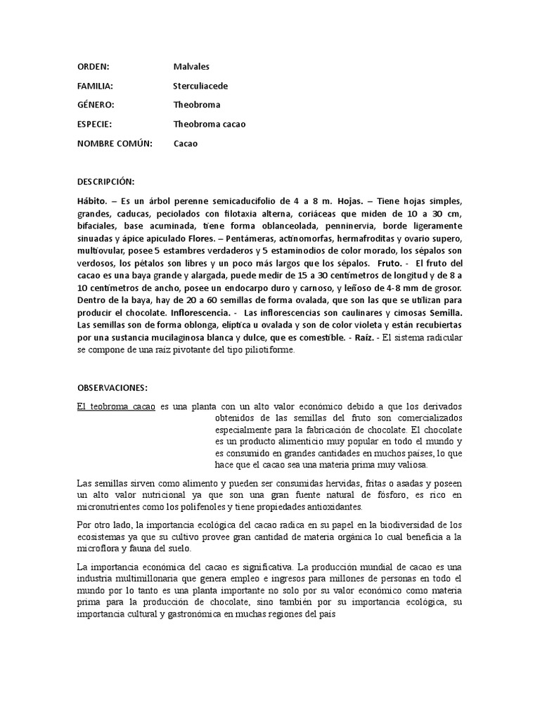 Cacao Pdf Chocolate Theobroma