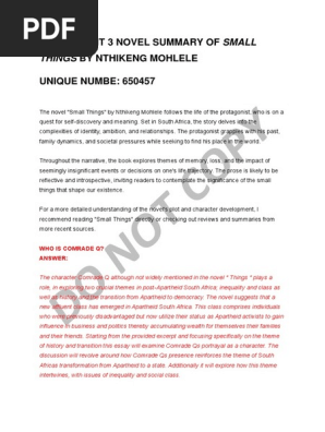 Assignment 3_small Things by Nthikeng Mohlele Summary