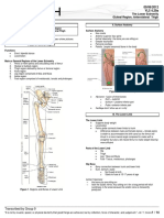 4.29a - The Lower Extremities - Gluteal Region, Anterolateral Thigh