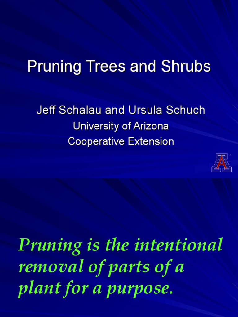Effective Pruning Techniques Guide | PDF | Home & Garden
