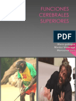 FUNCIONES CEREBRALES SUPERIORES 1