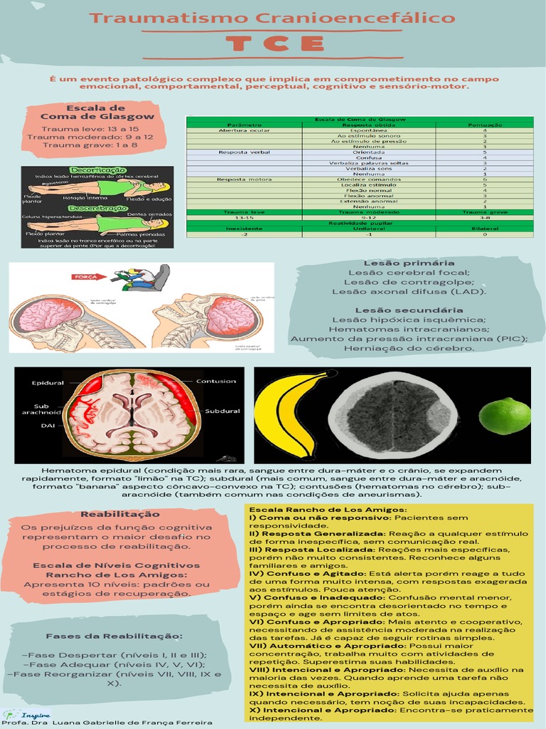 INFOGRÁFICO_4_Traumatismo Cranioencefálico | PDF