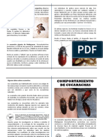 EGE ESTACIÓNComp.-Insectos Folleto A4 Doble-Faz