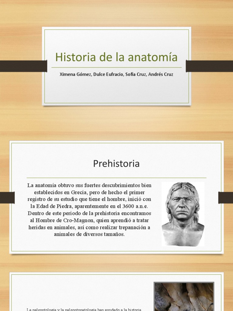 Historia de La Anatomía | PDF