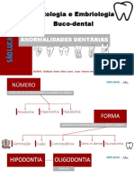 Histologia e Embriologia Slide-2