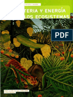 03-06-06-Materia y Energía en Los Ecosistemas, Carreras y Otros (2011), Biologia