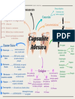 Mapa Mental Capsulite Adesiva