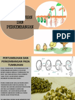 Pertumbuhan Dan Perkembangan