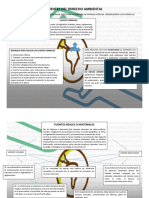 Fuentes Del Derecho Ambiental