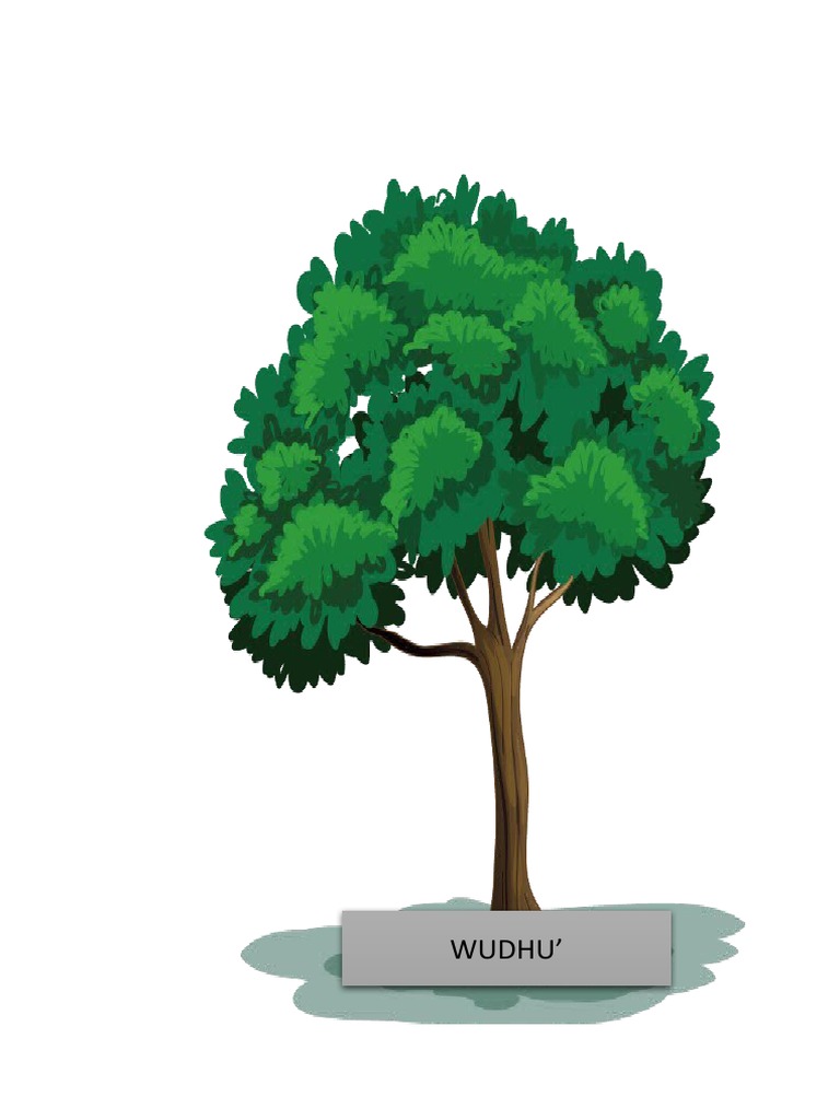 Pokok Peta Minda | PDF