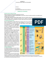 Ficha N°5 Origenes de La Humanidad