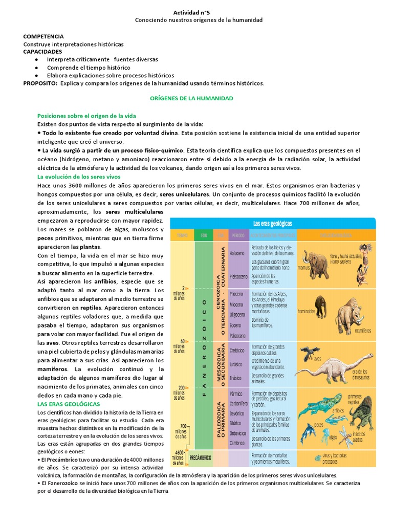 Ficha N°5 Origenes de La Humanidad | PDF | Ciencias sociales | Historia