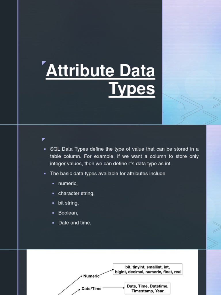 Attribute Data Types | PDF