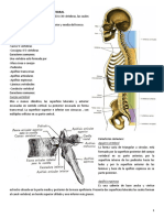 Dr. Mtz. Antología de Cabeza y Cuello