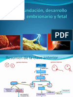 Fecundación Desarrollo Embrionario y Fetal