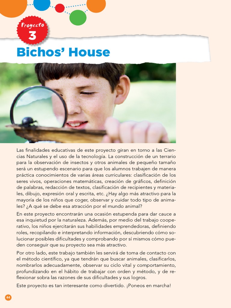 Proyecto 3 | PDF | Aprendizaje | Evaluación