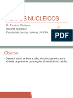 Ácidos Nucleicos PDF